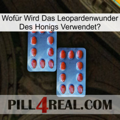 Wofür Wird Das Leopardenwunder Des Honigs Verwendet 05